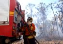 Com seis focos ativos, incêndios no Pantanal são intensificados devido a condições climáticas extremas