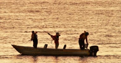 Última semana: pesca fica proibida a partir do dia 5 de novembro com o início do período de defeso