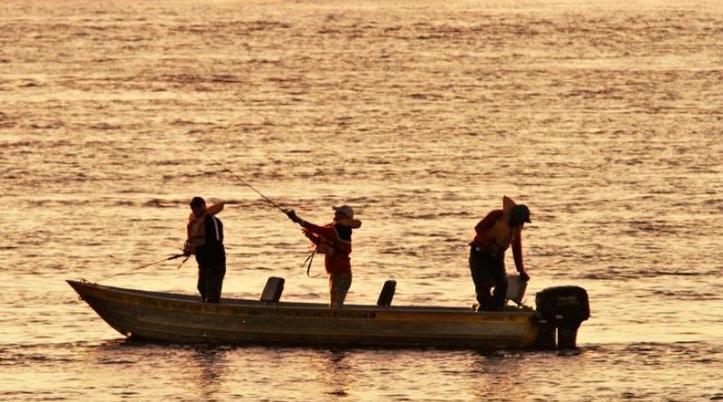 Última semana: pesca fica proibida a partir do dia 5 de novembro com o início do período de defeso