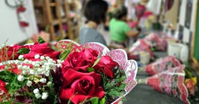 Amor com economia: pesquisa mostra preços de flores e sushis em Campo Grande