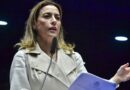Senadora Soraya Thronicke pede apoio do Governo Federal aos frigoríficos e indústrias para manter empregos no MS