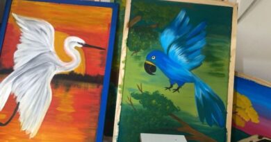 Exposição destacará arte de crianças com deficiência em exposição de telas no Bioparque Pantanal