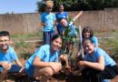 Prefeitura promove plantio de 25 mudas em escola da Capital