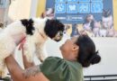 Ação sobre conscientização de bem-estar animal acontece na Expogrande