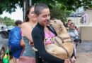 Feira de adoção oferece mais de 50 pets no domingo