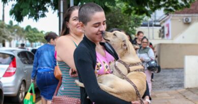 Feira de adoção oferece mais de 50 pets no domingo