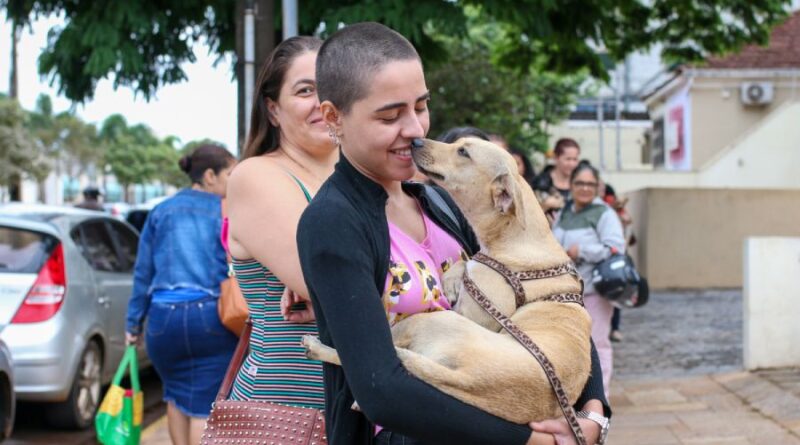 Feira de adoção oferece mais de 50 pets no domingo