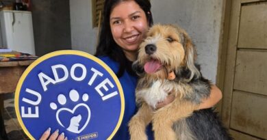 Cães e gatos resgatados buscam nova família no domingo